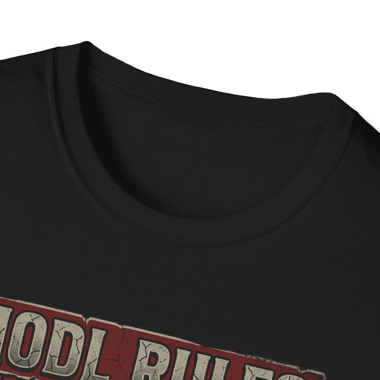 HODL Rules Bitcoin T-Shirt — Crypto Hodler Poster Graphic Tee