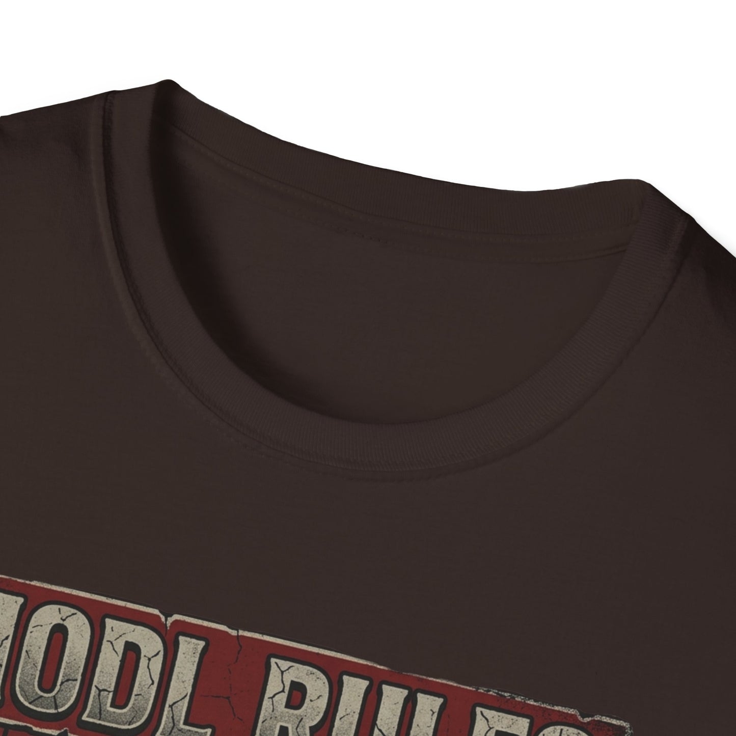 HODL Rules Bitcoin T-Shirt — Crypto Hodler Poster Graphic Tee