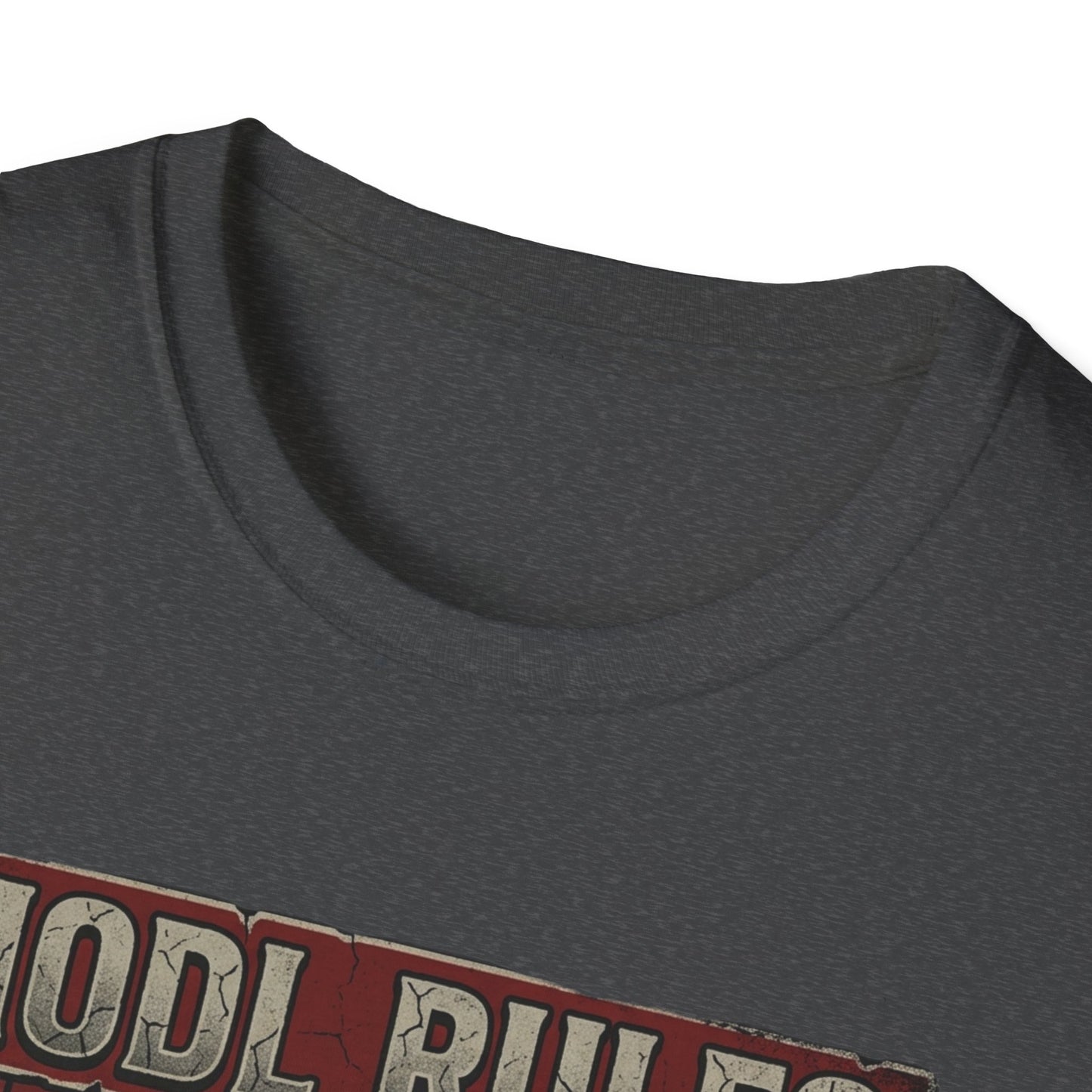 HODL Rules Bitcoin T-Shirt — Crypto Hodler Poster Graphic Tee
